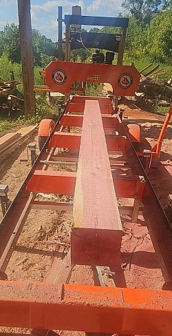 Cedar